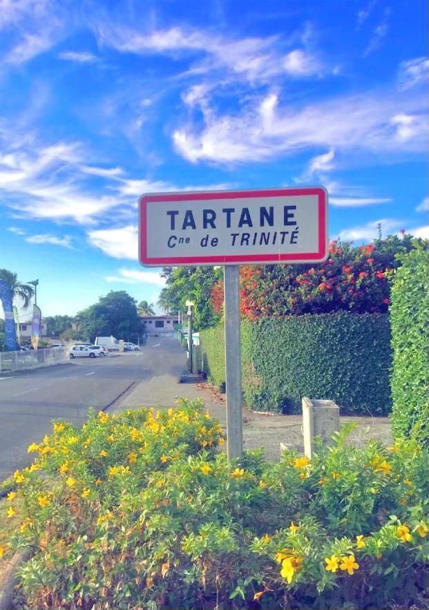 Charmant Studio A La Residence De La Baie De Tartane 라 트리니테 외부 사진
